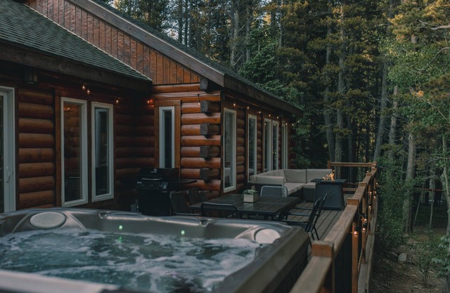 Cozy Log Cabin: hot tub under the stars, private deck, king bed, dog friendly!