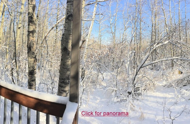 Sweet Condo in Aspens - selig abgeschieden und doch nur 3 Gehminuten von den Pisten entfernt!