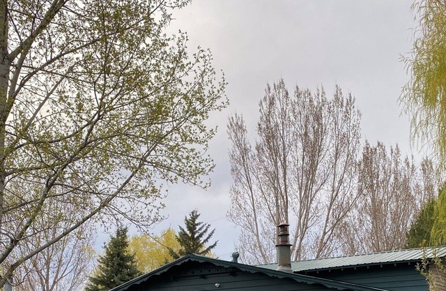 Cozy Mid-Century Newly Remodeled 4 bedroom, 2 bath. With finished basement.
