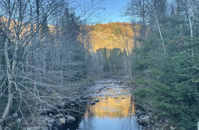 Cozy mini ski retreat or hiking paradise for nature lovers. Pet friendly.n