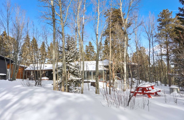 Cozy mountain cabin close to hiking/biking, skiing, casinos, good food and more!