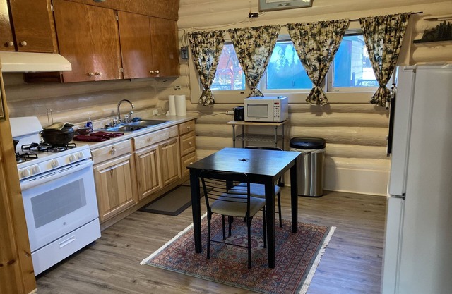 cozy mountain cabin