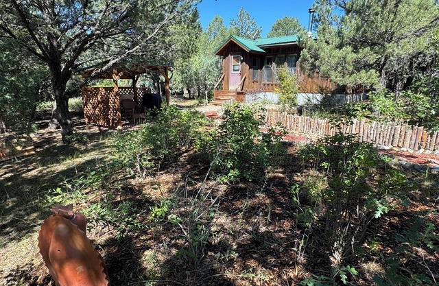 Cozy Mountain Hermitage Cabin