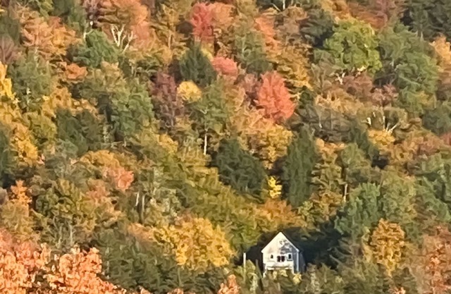 Cozy mountain-view retreat abutting the National Forest with views from deck