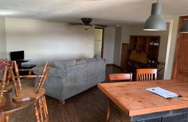 Cozy one bedroom apartment
