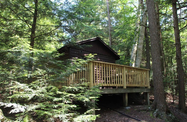 Cozy haustierfreundlichen Kabine für zwei - 3 Meilen von Saranac Lake - Zugang zum See