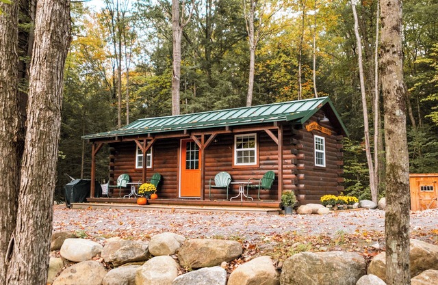 Cabin on 60 acres only 10 miles from Saratoga
