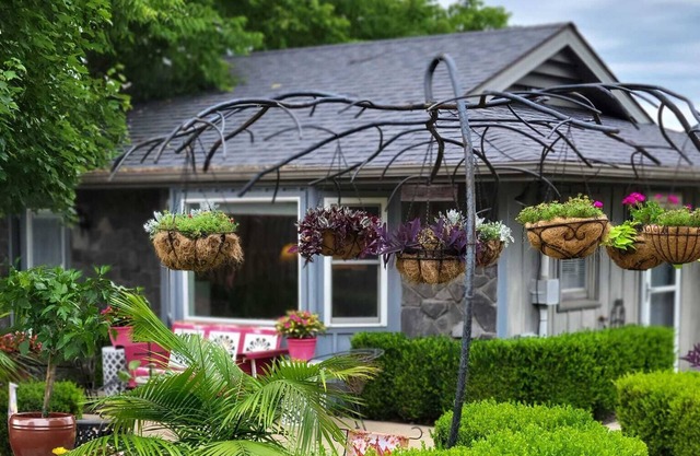 Cozy private, 1 bed/1bath, fully handicapped accessible cottage, near Branson.