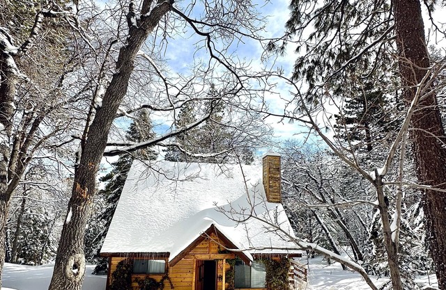 Cozy private cabin on ~1/2 acre, min. to ski resort & town. Winter getaway!!
