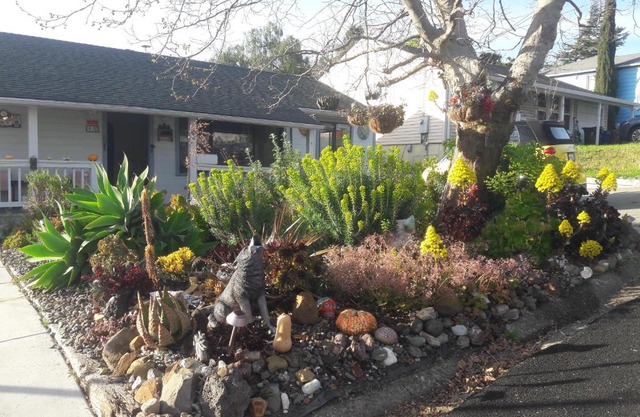 Cozy, Quiet Home in Family-Friendly Neighborhood!