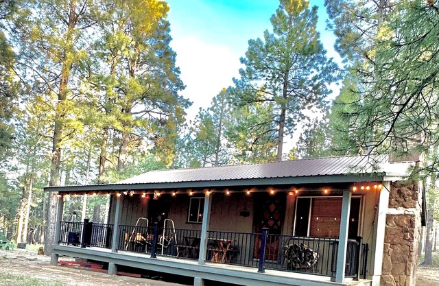 Cozy, quiet picturesque cabin in the pines & perfect escape to winter wonderland