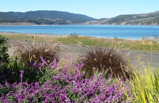 Gemütliche entspannende Stinson Beach Getaway