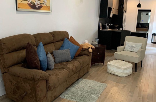 Cozy renovated apartment near downtown with parking