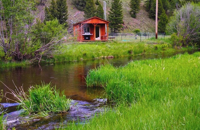Cozy Rock Creek Cabin - Fly Fisher's Retreat! Fish just steps from the porch!