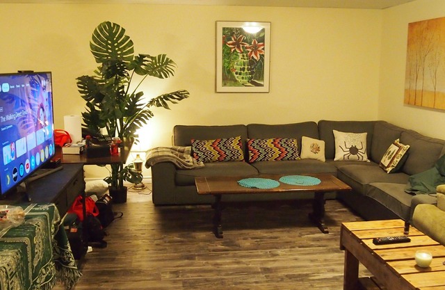 Cozy room in basement