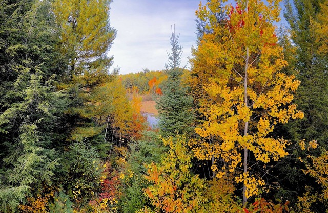 Cozy, spacious cabin. Great for fishing & snowmobiling!