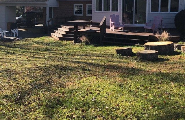 Cozy stay in an updated colonial style house, ≈ 5 min drive to downtown and UVA