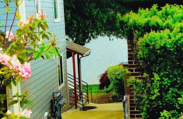Cozy Studio 1BR, Home Lake View Full Access to Lake 6min to Airport.