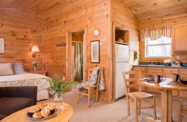 Cozy Studio Cabin near Smuggler's Notch