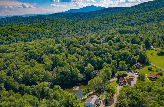 Cozy Studio Cabin #40 - Sleeps 4 - Full kitchen + fireplace - between Boone & Blowing Rock NC