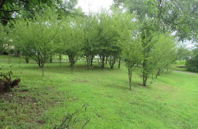 Cozy Studio Country Peaceful Charm Concord 2 Minute to Cabarrus Arena