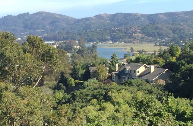 Gemütliches Studio in den Hügeln von Mill Valley.