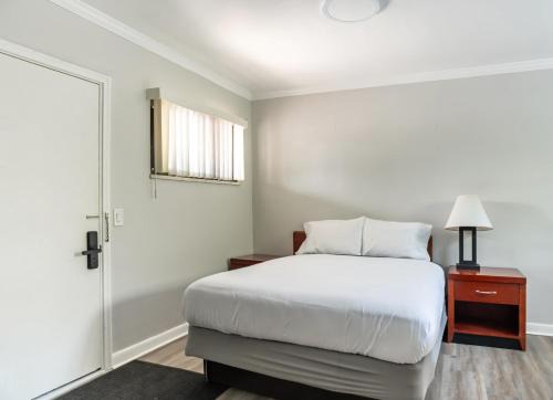 Cozy Stylish Downtown Detroit Flat Sleeps 2 WiFi