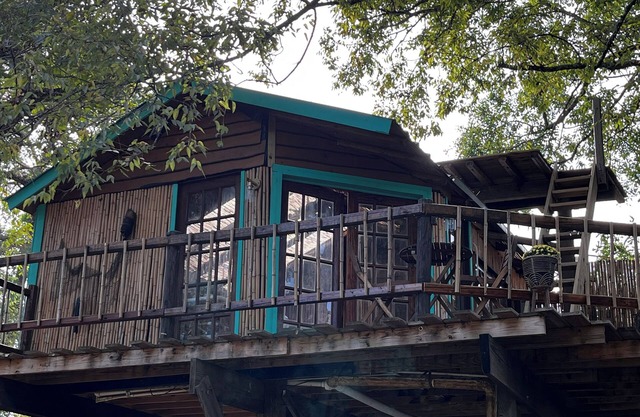 Cozy Treehouse on Lake Conroe w/firepit/kayaks