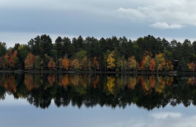 Cozy vintage cabin on a private lake in the Northwoods.