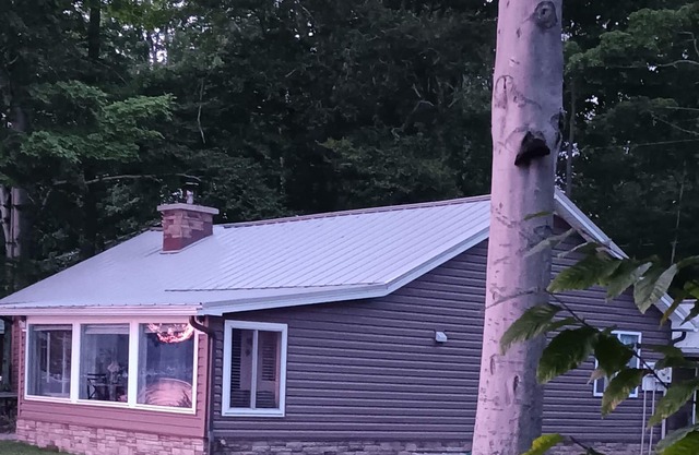 Cozy waterfront house on beautiful South Sandy Pond - w/ a sunroom and 2 BR's.