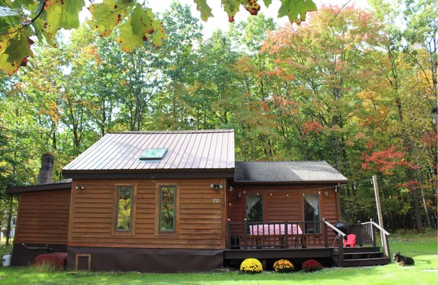 Cozy woodsy family-friendly cabin retreat