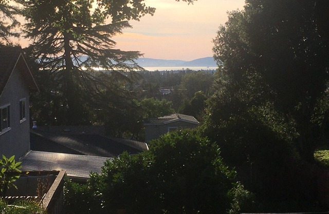 CozyOaks Studio - Charming cottage in woodsy Oakland with WiFi access