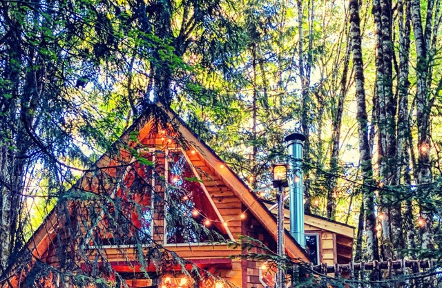 Craftsman European Chalet in the Forest with partial Riverview