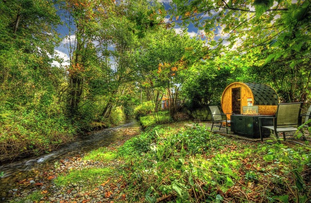 Creek-side oasis! Newly renovated home w/hot tub & barrel sauna!