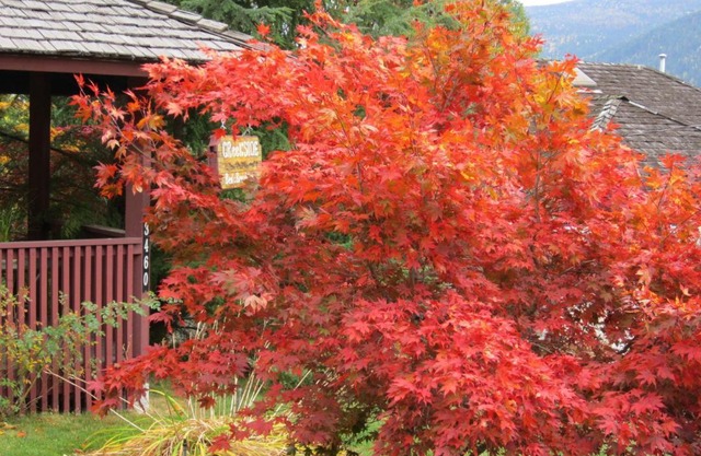 Creekside B&B