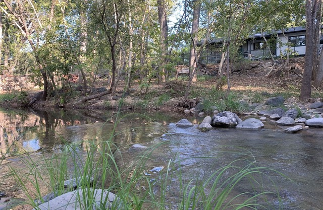 Creekside Cabin Under the Sycamores