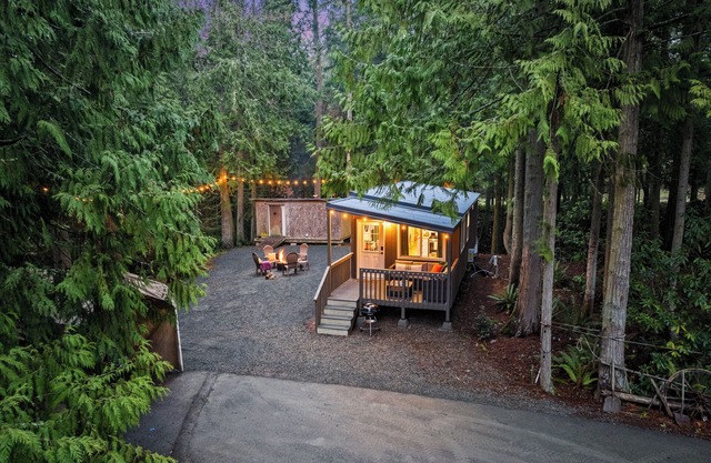 Creekside Escape - Cabin in the tall trees