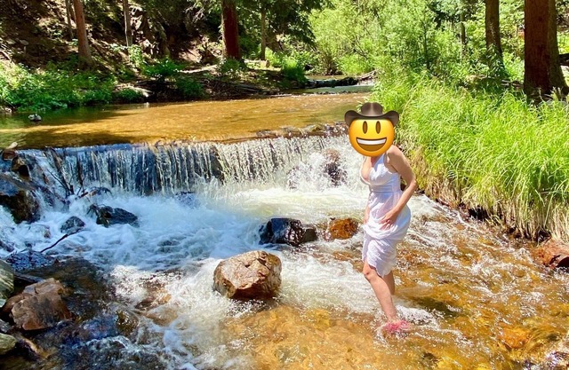 Creekside Oasis in the National Forrest