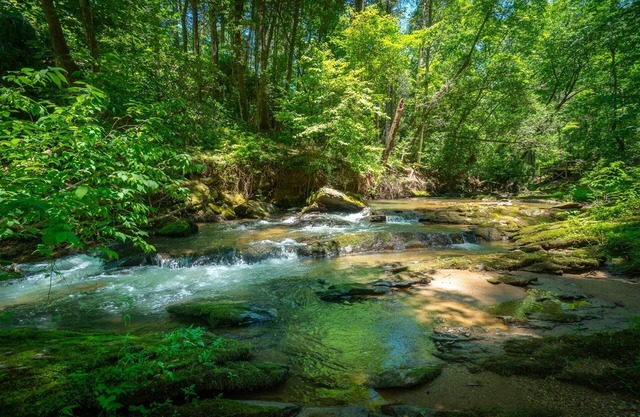 Creekside Oasis - Pet-Friendly Cottage on Town Creek