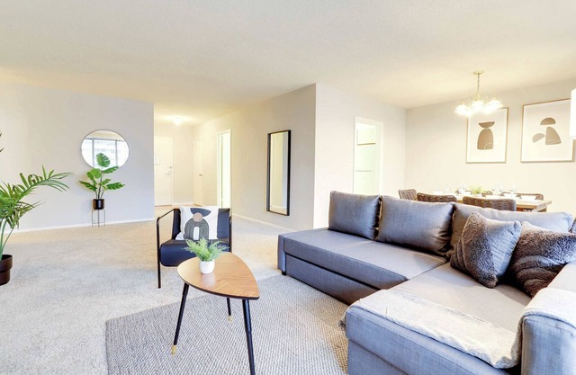 Stay in Style: Location & Comfort