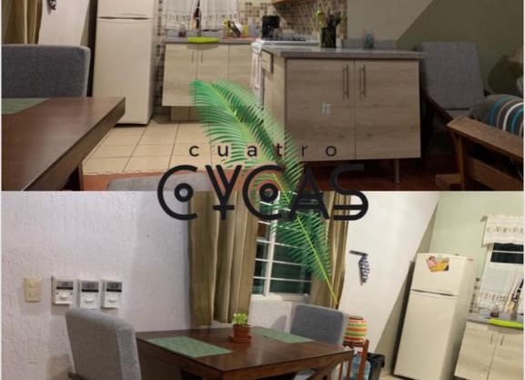 Cuatro Cycas