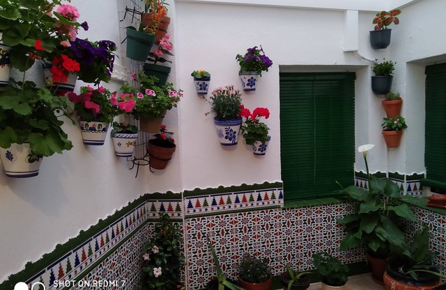 CULTURES AND COLORS IN ALMAGRO WIFI and private parking. Promotion to Companies