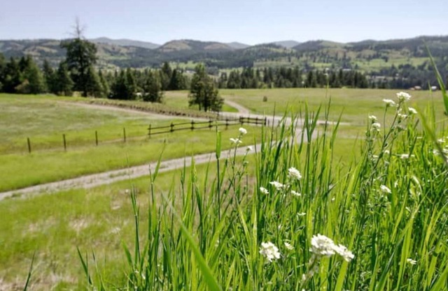 Curlew Earth Home 2BD w/ Valley & Mountain Views