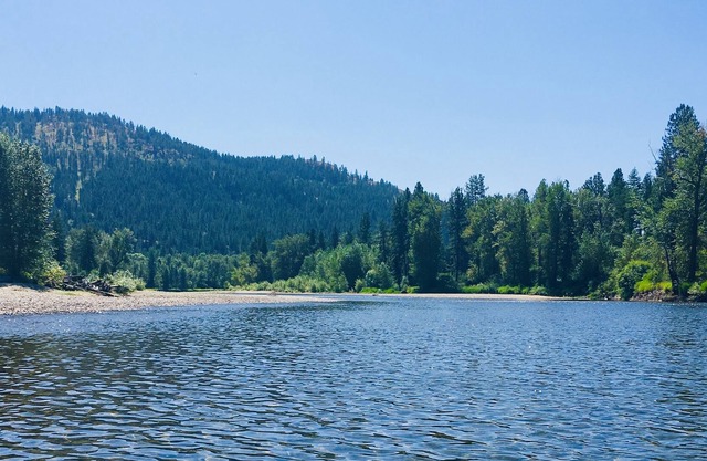 Curlew Kettle River Paradise Waterfront Paradise