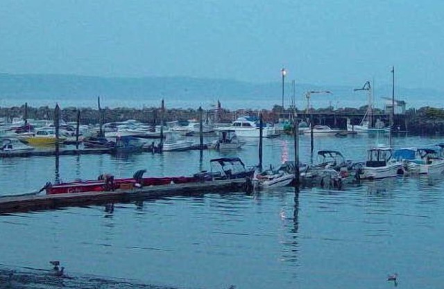 Curley's Resort & Dive Center