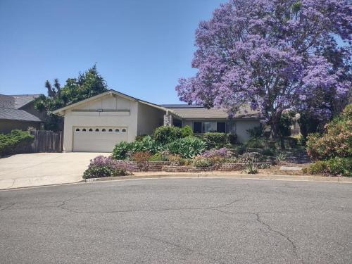 Custom Home - Beach close/convenient to everything