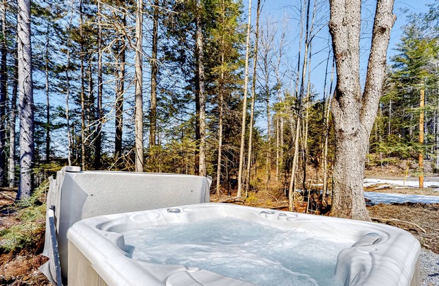 Custom Mountain Home with Private Hot Tub, Firepit, & Free WiFi - Dog Welcome