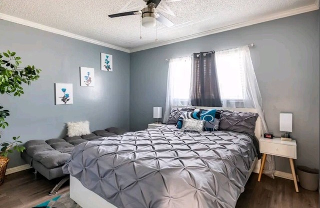 Cute and Cozy 3 bedroom