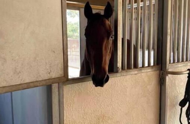 Cute, barn studio and Rancho De Amor.
