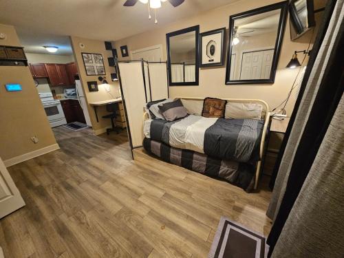 Cute Comfy Studio Prime Location